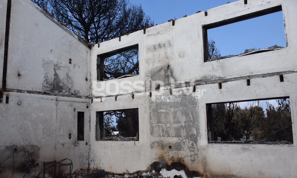 Τραγική αποτίμηση από τη χήρα του Θεόδωρου Αγγελόπουλου: «Κάηκε όλη η πνευματική του περιουσία» Τραγική αποτίμηση από τη χήρα του Θεόδωρου Αγγελόπουλου: «Κάηκε όλη η πνευματική του περιουσία»
