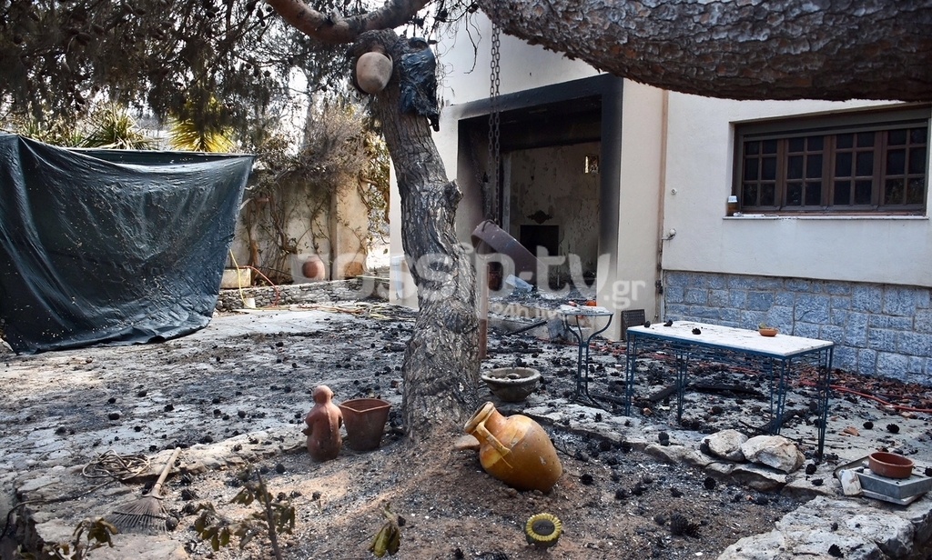Τραγική αποτίμηση από τη χήρα του Θεόδωρου Αγγελόπουλου: «Κάηκε όλη η πνευματική του περιουσία» Τραγική αποτίμηση από τη χήρα του Θεόδωρου Αγγελόπουλου: «Κάηκε όλη η πνευματική του περιουσία»