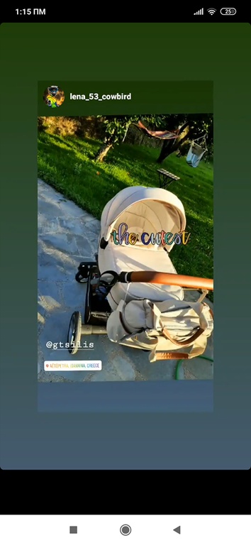 Η πρώτη βόλτα με το μωρό τους!