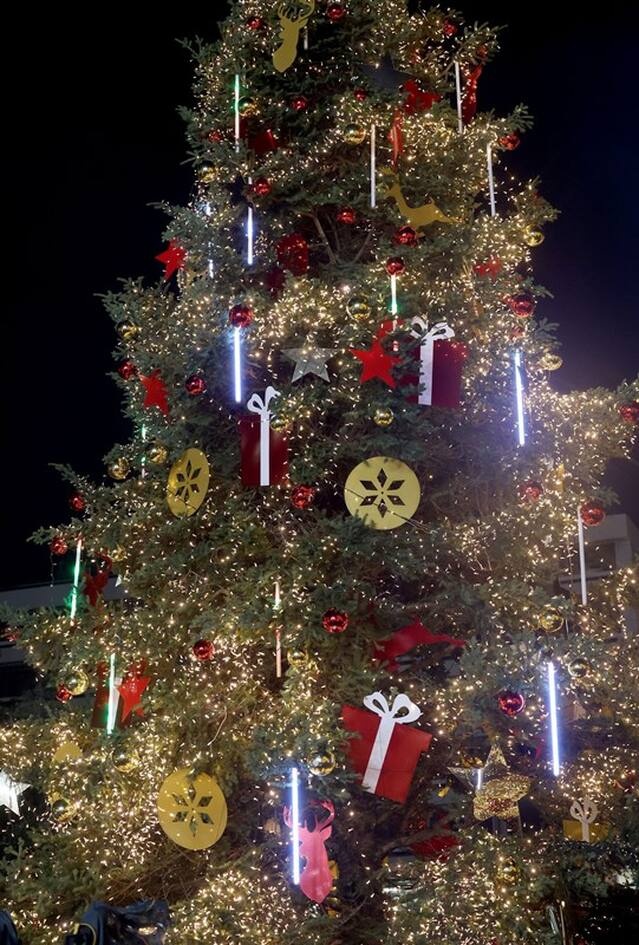Το χριστουγεννιάτικο δέντρο.